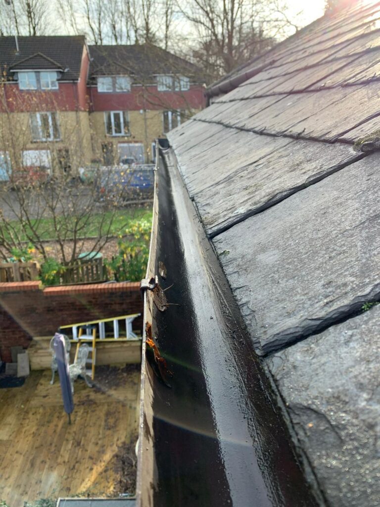 Harris Pure Cleaning Services - Gutter Clearing Services